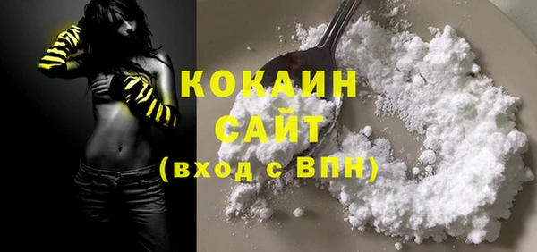 кокс Арсеньев