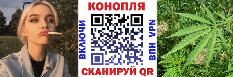 продажа наркотиков  Каргополь  Бошки Шишки THC 21% 